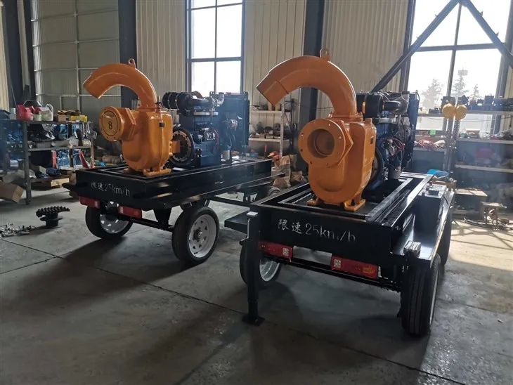 IMG_202411295834_4000x3000